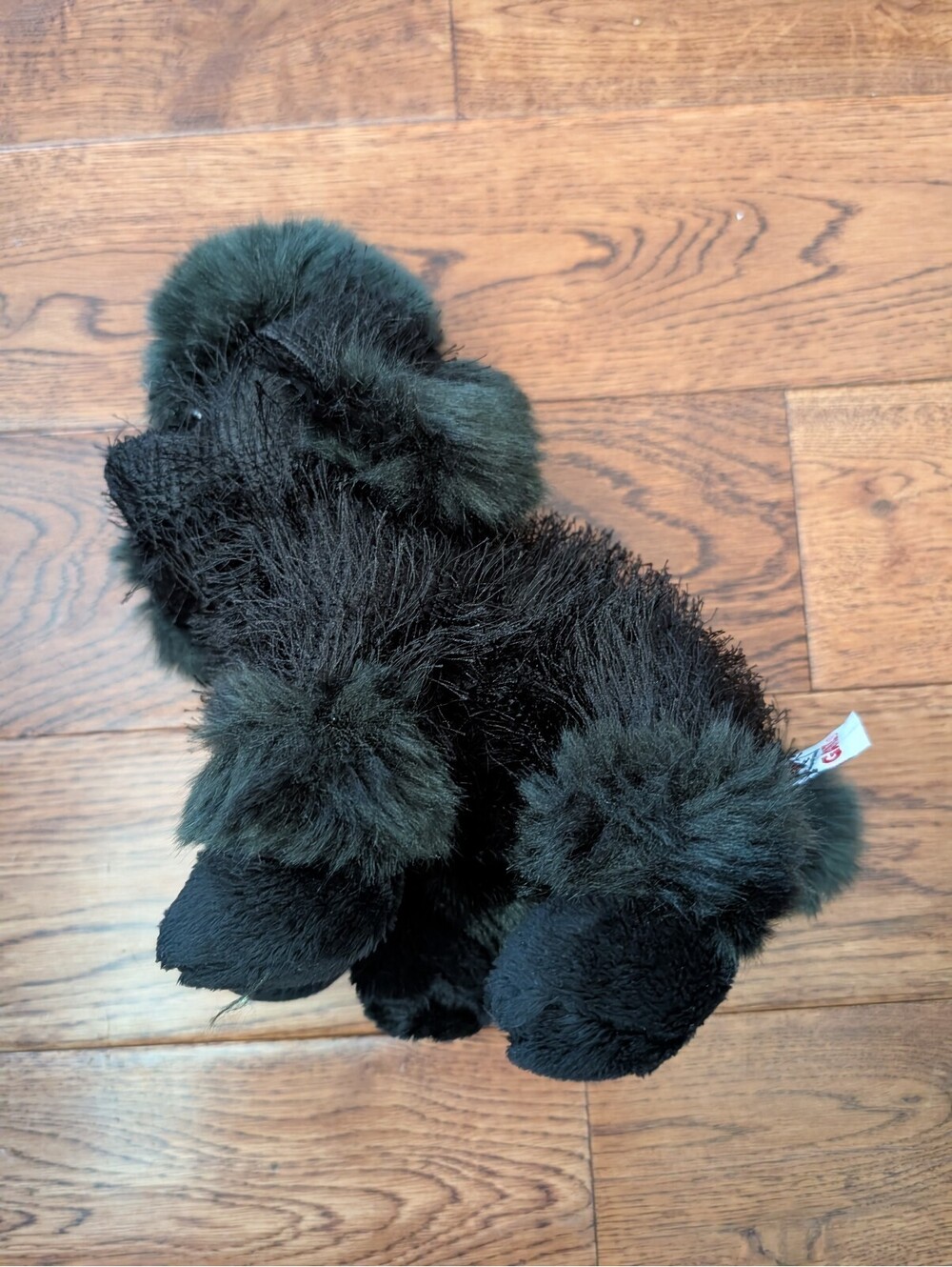 Webkinz Classic Plush Black Poodle Stuffed Animal